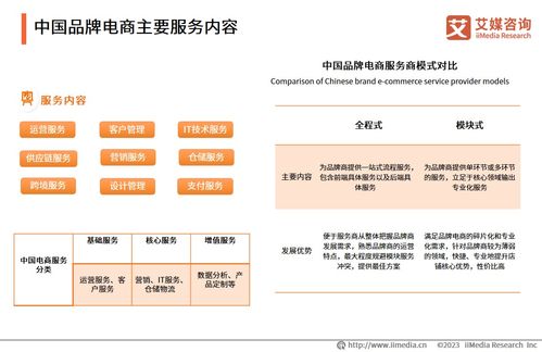 2023年中國品牌電商服務商行業(yè)研究報告 互聯網信息服務視角