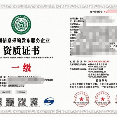 2024年互聯(lián)網(wǎng)新聞信息服務(wù)企業(yè)資質(zhì)（一級）與信息技術(shù)咨詢服務(wù) 行業(yè)標(biāo)準(zhǔn)、價值與戰(zhàn)略協(xié)同
